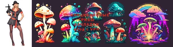 ешки Няндома