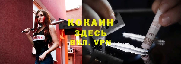 ешки Няндома
