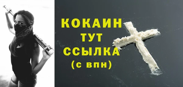 прущие грибы Пенза