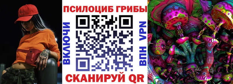 OMG ТОР  Пошехонье  Галлюциногенные грибы Psilocybe 